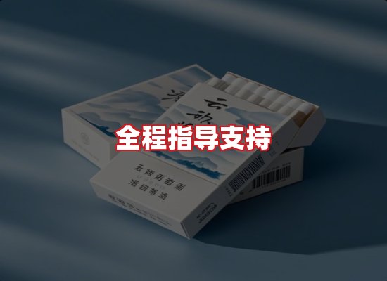 专业团队